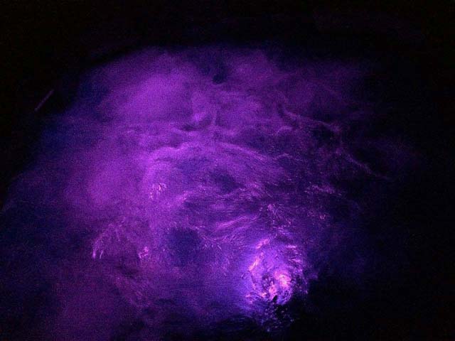 Purple light